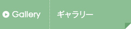 ギャラリー