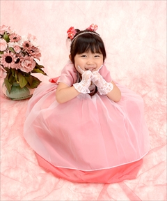 フォトギャラリー